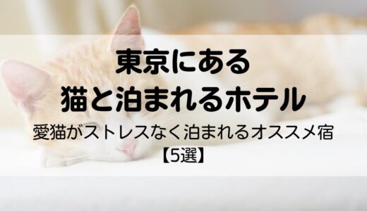 東京で猫と泊まれるホテル【5選】愛猫がストレスなく過ごせるオススメ宿を紹介！