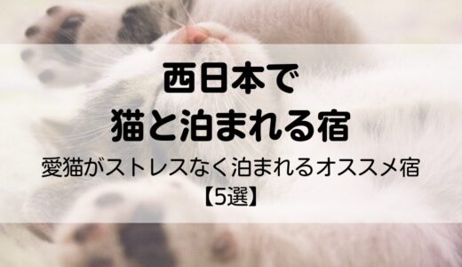 西日本で猫と泊まれる宿【5選】愛猫がストレスなく過ごせるオススメ宿を紹介！