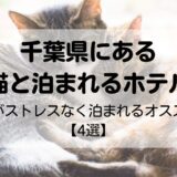 千葉県で猫と泊まれる宿【4選】愛猫がストレスなく過ごせるオススメ宿を紹介！